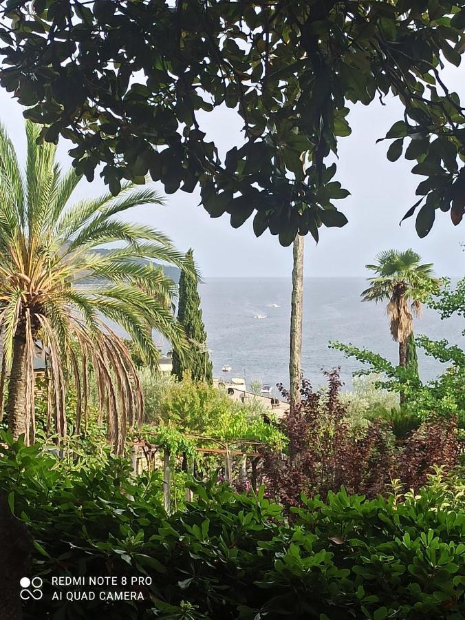 Apartment Cepic Herceg Novi Ngoại thất bức ảnh