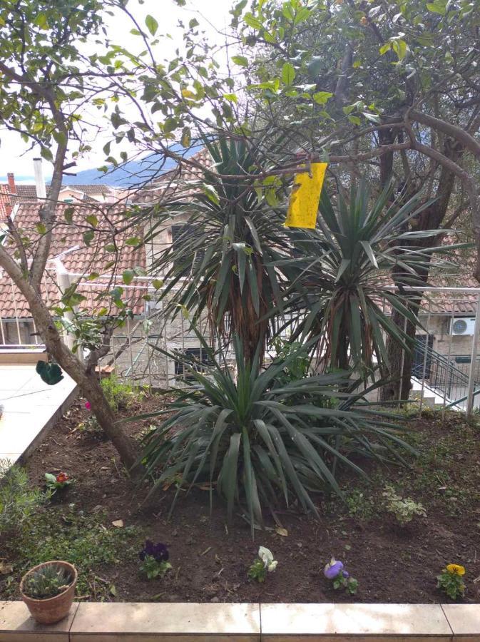 Apartment Cepic Herceg Novi Ngoại thất bức ảnh